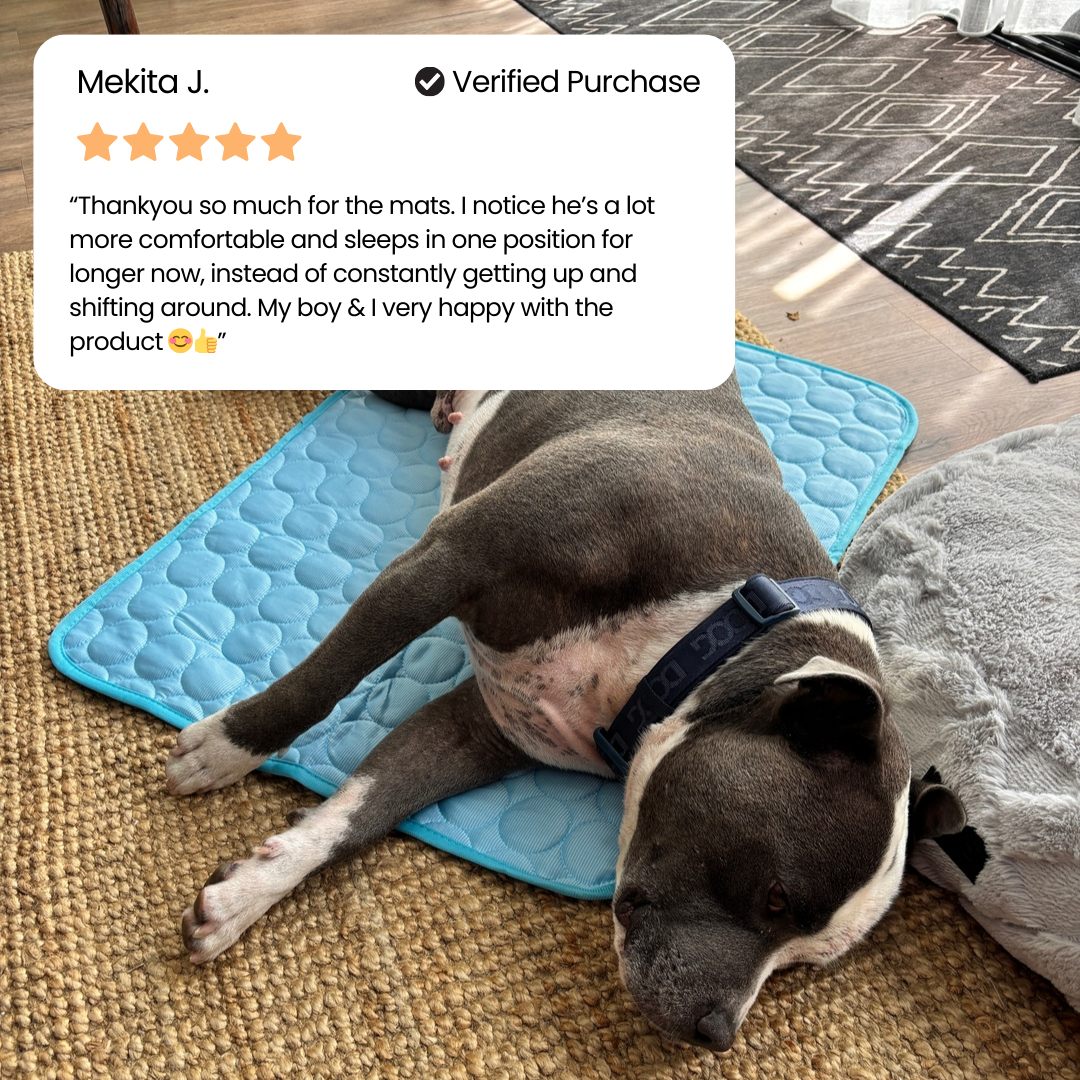 🐾Dog Cooling Mat🔥 BUY 1 GET 1 FREE
