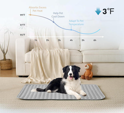 🐾Dog Cooling Mat🔥 BUY 1 GET 1 FREE