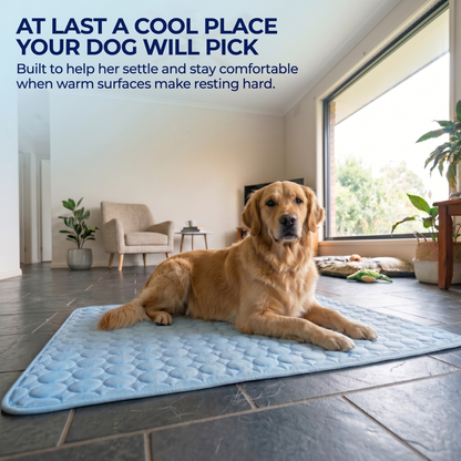 🐾Dog Cooling Mat🔥 BUY 1 GET 1 FREE
