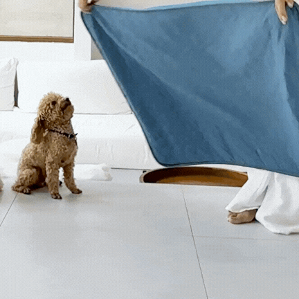🐾Dog Cooling Mat🔥 BUY 1 GET 1 FREE