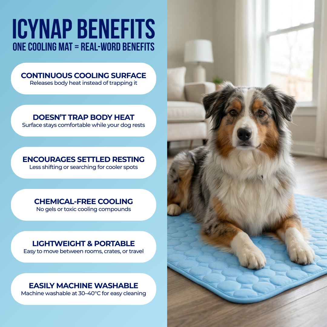 🐾Dog Cooling Mat🔥 BUY 1 GET 1 FREE