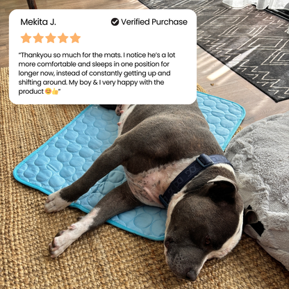 🐾Dog Cooling Mat🔥 BUY 1 GET 1 FREE