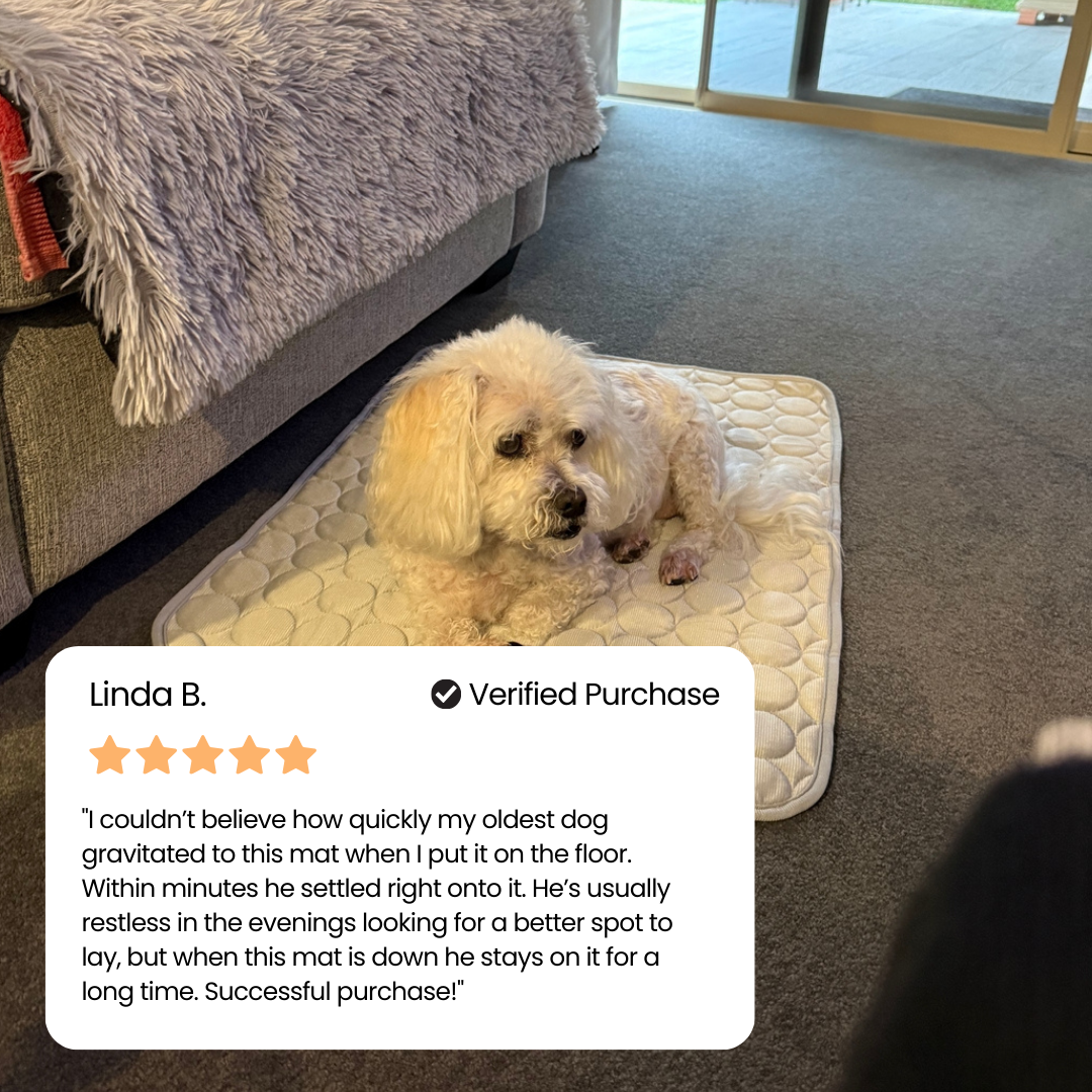 🐾Dog Cooling Mat🔥 BUY 1 GET 1 FREE