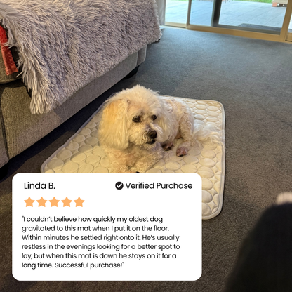 🐾Dog Cooling Mat🔥 BUY 1 GET 1 FREE